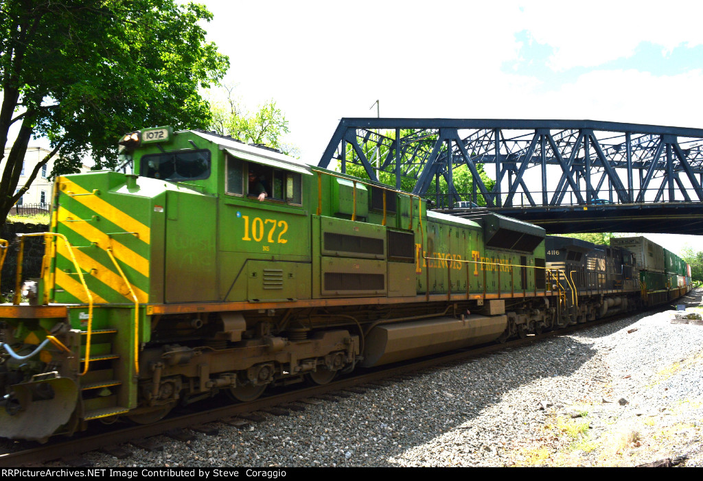 "NS 1072 "GLOWWORM CLOSE UP"